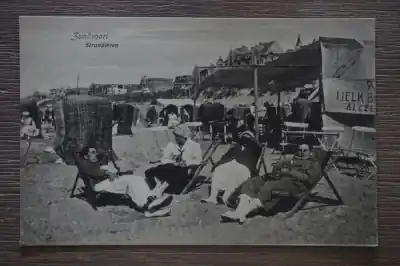 Zandvoort Strandleven Kup teraz