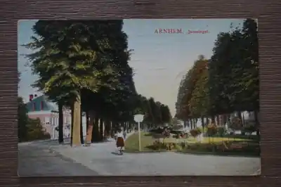 Arnhem Janssingel Oferta limitowana