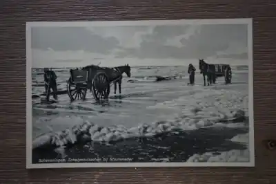 Scheveningen Schelpenvisschen bij Stromweder Tani
