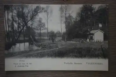 Valkenberg verliefde boomen Oryginalny
