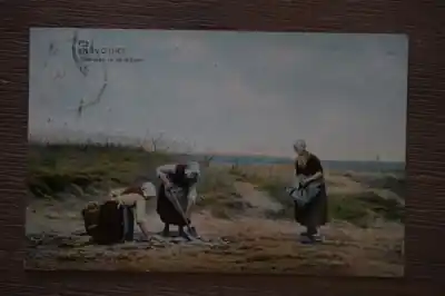 Zandvoort Nalezen in de duinen Oferta