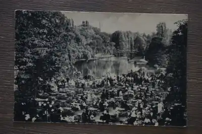 Wysoka jakość Rotterdam Diergaarde muziekterrein met nieuwe vijver