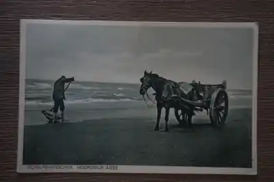 Oferta limitowana Noordwijk aan Zee Schelpenvisscher