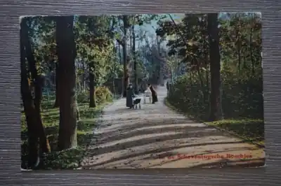 Oferta Scheveningen In de Scheveningsche Boschjes