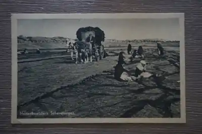 Kup teraz Scheveningen Nettenboetsters