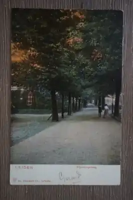 Oferta Leiden Rijnsburgerweg