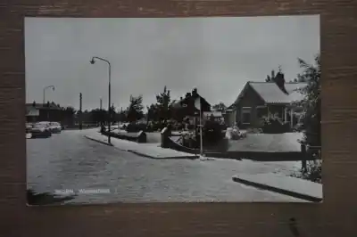 Ingen Weverstraat Najlepsza cena