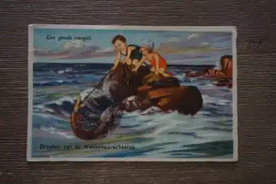 Wassenaarscheslag groeten uit Zwrot pieniędzy