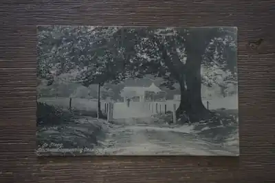 Oferta limitowana De Steeg Boschwachterswoning Onzalige Bosch