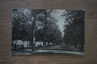 Popularny Utrecht Maliebaan