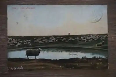 Arnhem op de heide Autentyczny