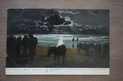 Popularny Katwijk aan zee Standgezicht