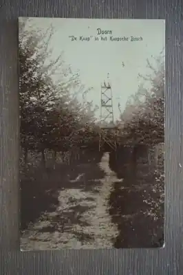 Doorn De Kaap in het Kaapsche bosch Najlepsza cena