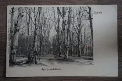 Haarlem Spanjaardslaan Nowość