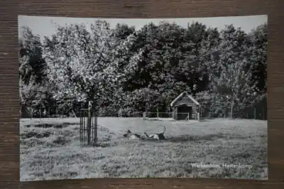 Popularny Werkendam Hertenkamp