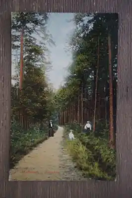 Zwrot pieniędzy Ginneken Mastbosch