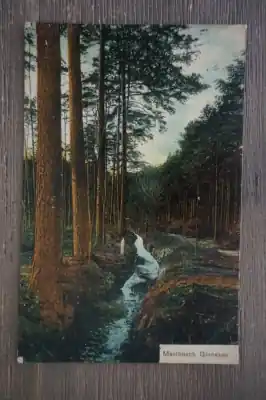 Ginneken Mastbosch Nowość