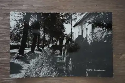 Thorn Wandellaantje Wyprzedaż