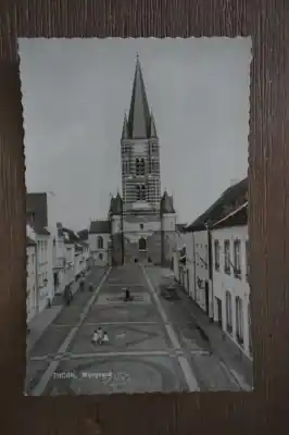 Oryginalny Thorn Wijngaard