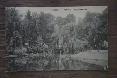 Tilburg Brug Wilhelminapark Tani