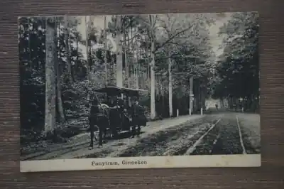 Ginneken Ponytram Oryginalny