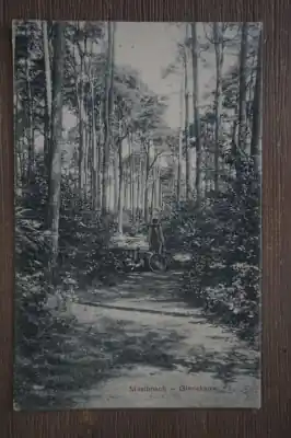 Zamów teraz Ginneken Mastbosch