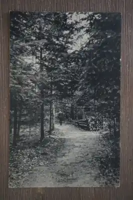 Oferta Ginneken Mastbosch