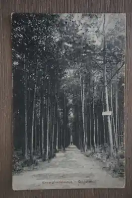 Ginneken Eeuwigheidslaantje Darmowa dostawa