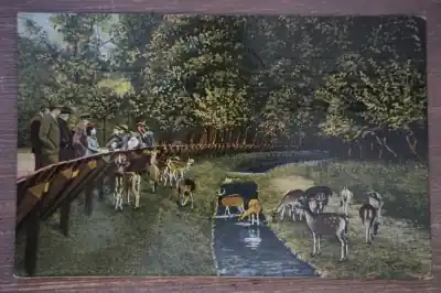 Tylko dziś Haarlem Hertenkamp