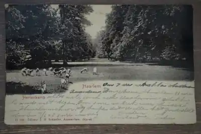 Rabat Haarlem Hertenkamp