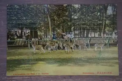 Haarlem Hertenkamp Bezpieczna płatność