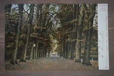 Tani Haarlem Kleine Houtweg