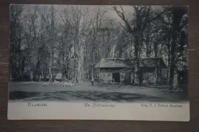 Zwrot pieniędzy Haarlem Het Hertenkamp