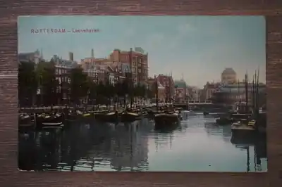 Tani Rotterdam Leuvehaven