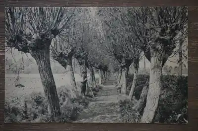 Szybka dostawa Goes Naaste weegje Nisse Padje