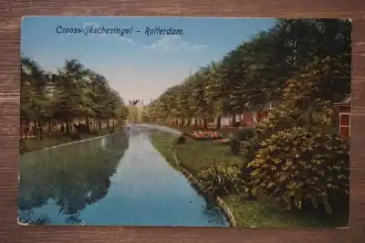 Tani Rotterdam Crooswijkschesingel