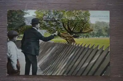 Den Haag Hertenkamp Promocja