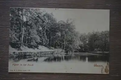 Bezpieczna płatność Baarn Vijver in het bosch