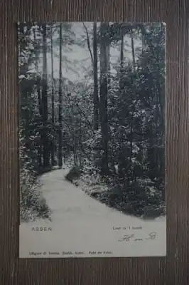 Assen Laan in 't bosch Darmowa dostawa