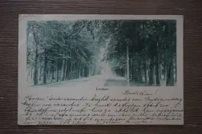 Apeldoorn Loolaan Ekspresowa dostawa