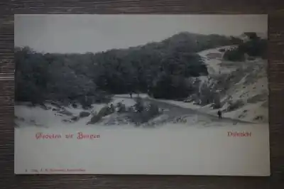 Wysoka jakość Bergen Duinzicht