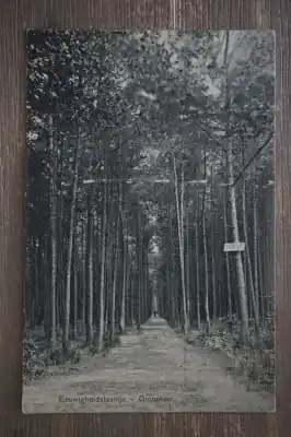 Najlepsza cena Ginneken Eeuwigheidslaantje