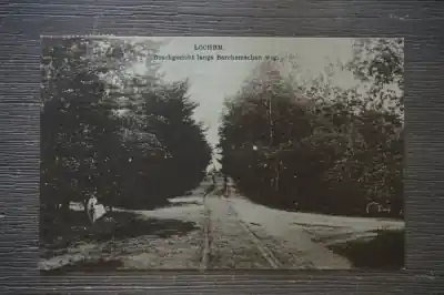 Tylko dziś Lochem Boschgezicht langs Barchemschen weg