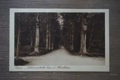 Doorn Schoonoorsche laan en Fleschlaan Tylko dziś