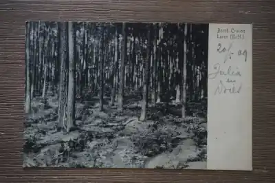 Niska cena Laren Bosch Crailoo