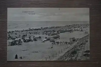 Tani Zandvoort Het Strand