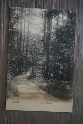 Kup teraz Assen Asser bosch