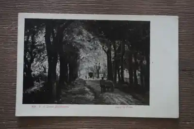 Rolde Laan te Premium