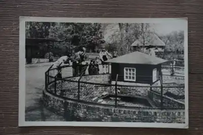 Heemstede Wandelbosch Groenendaal Niska cena