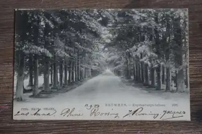 Popularny Brummen Engelenburgschelaan